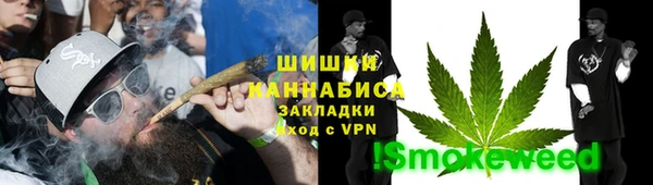 гидропоника Горнозаводск