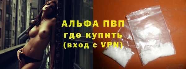 сатива Вяземский