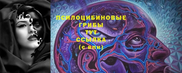 сатива Вязники