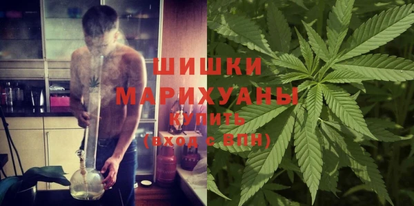 сатива Вяземский