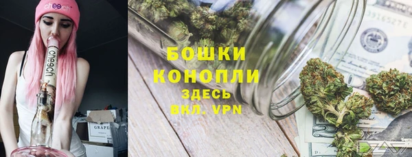 Альфа ПВП Горно-Алтайск