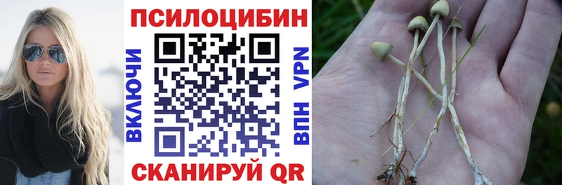 наркота  Евпатория  Галлюциногенные грибы MAGIC MUSHROOMS 